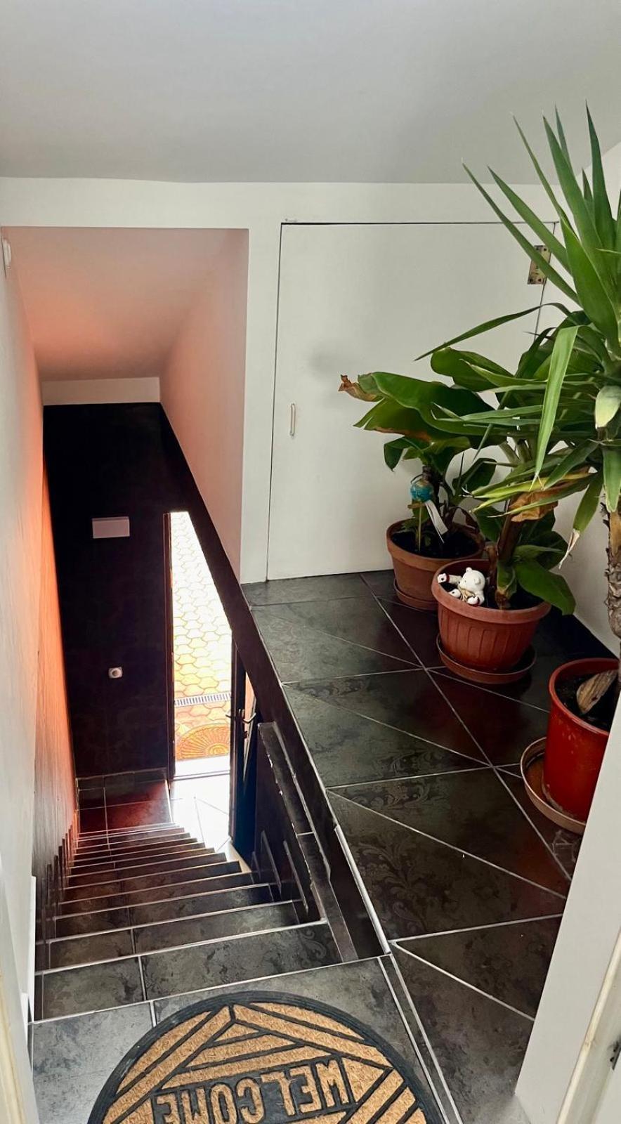 Chill Apartman Budakalasz Ngoại thất bức ảnh